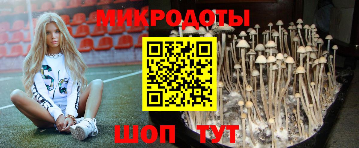 Ревда  как найти наркотики  Вход с VPN  Псилоцибиновые грибы Psilocybe 