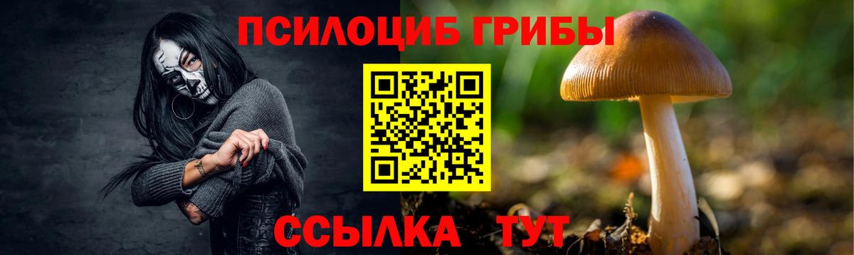 Псилоцибиновые грибы мухоморы Ревда